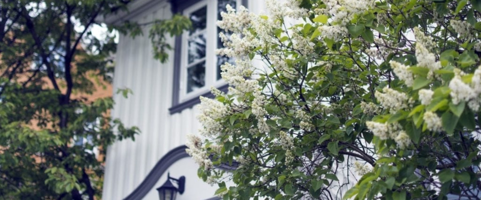 Will home builder pay closing costs?