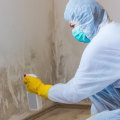Privileges Of Employing A Mold Removal Company To Eliminate Molds In Homes And Buildings In Charleston