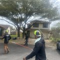 Stronger Trees, Stronger Homes: The Role Of Deep Root Fertilization Treatment In Home Building In Leander, Texas