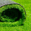 Why Artificial Grass Is A Smart Choice For Modern Home Building In Winter Garden, FL