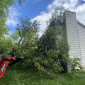 How Can Tree Trimming Services Enhance Your Home Building Project In Kalamazoo, Michigan?