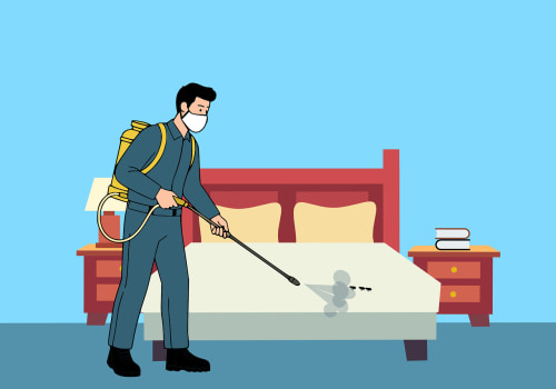 Protect Your New Home from Pests with Federation Pest Control