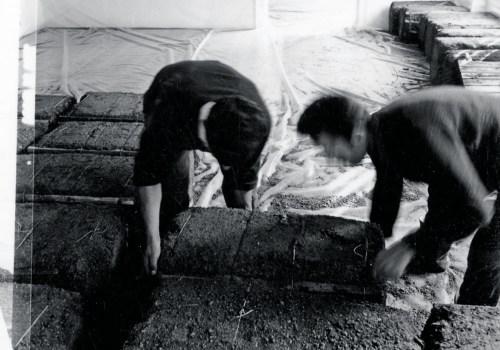 From Dirt to Design: The Overlooked Art of Site Preparation