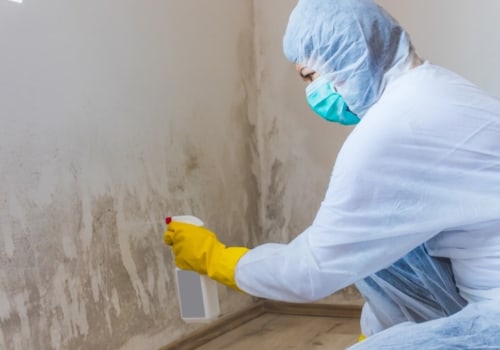 Privileges Of Employing A Mold Removal Company To Eliminate Molds In Homes And Buildings In Charleston