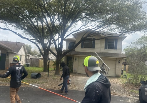 Stronger Trees, Stronger Homes: The Role Of Deep Root Fertilization Treatment In Home Building In Leander, Texas